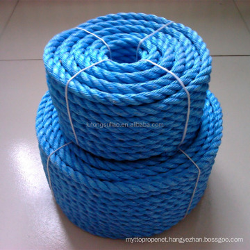 Danline Type and PP Material Polypropylene Rope